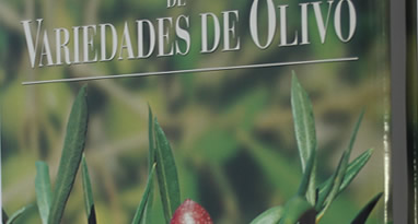 Libro1